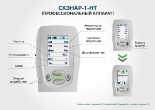 СКЭНАР-1-НТ (исполнение 01)  в Бердске купить Медицинский интернет магазин - denaskardio.ru 